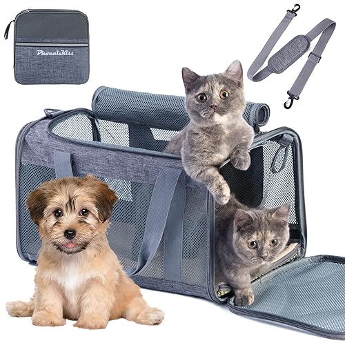 Phoenix Kiss Cat Carrier for 2 Cats - Soft Medium Pet Carrier Bag -Large Dog Carrier for Small Dogs Collapsible Portable, Top Lo