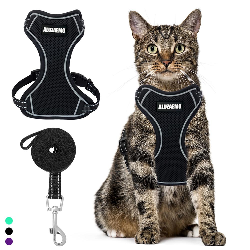 Harnais Chat Cat Harness And Leash Set Escape Proof For Kitten