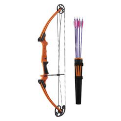 Genesis Archery 11419 Original Versatile Aluminum Compound Training Right Handed Target Practice Bow Archery Kit for All Ages, O