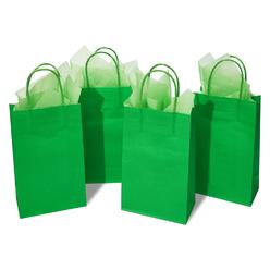 DjinnGlory 24 Pack Small Green Paper Gift Bags with Handles 9x5.5x3.15 Inch and 24 Tissue Paper for Christmas Holiday Birthday Wedding Brid