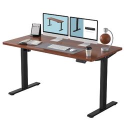 FLEXISPOT EN1 Standing Desk 55 x 28 Inches Whole-Piece Desktop Stand Up Desk Ergonomic Memory controller Standing Height Adjusta