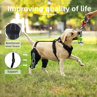 Amazon Hind Leg Knee Brace For Dogs Amazon Knee Brace Dog Knee