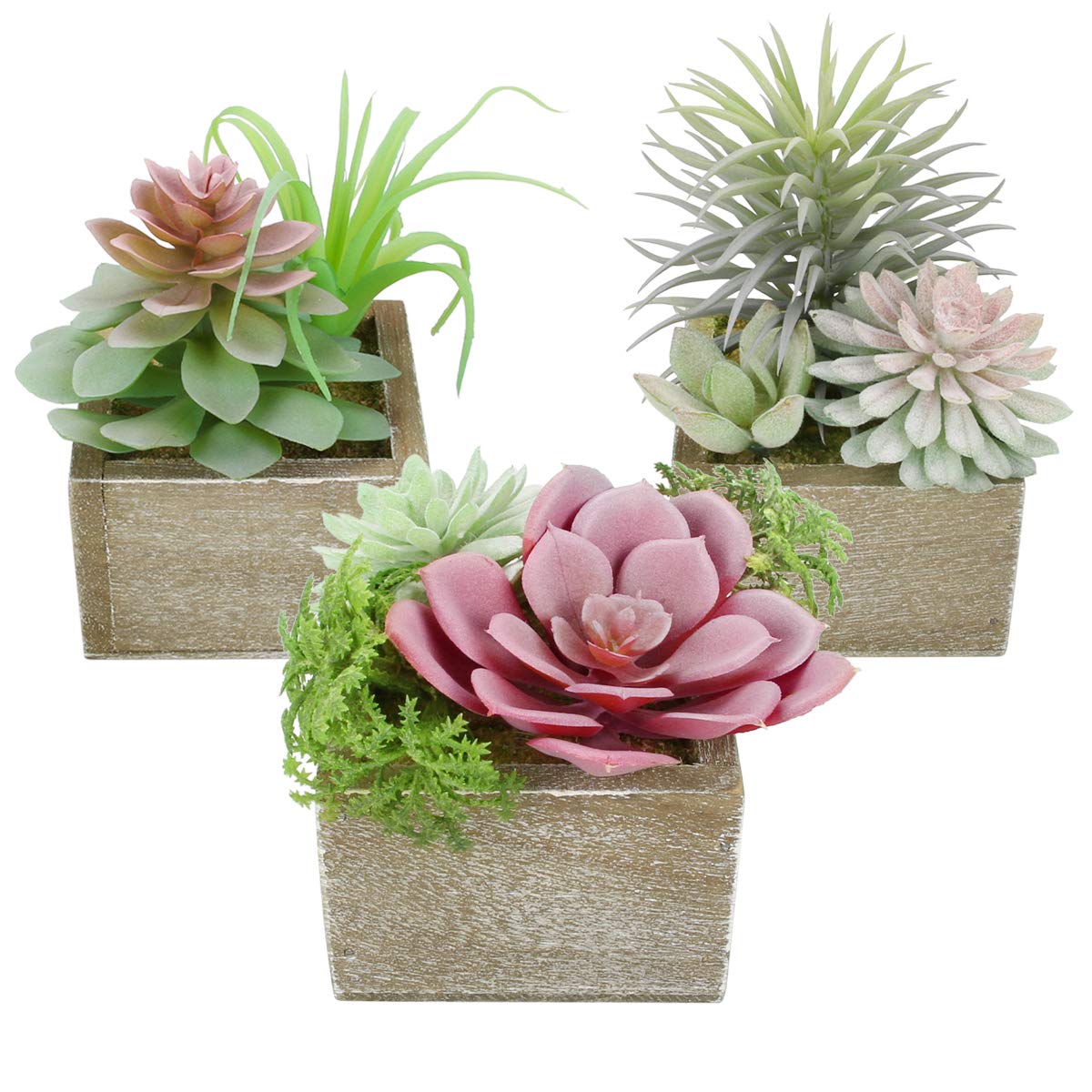 planter bowls for succulents Succulent Bowl Set of 3 main image 1