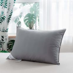 Choice Hotels Luminesse Luxury Firm Standard/Queen Down Bed Pillow - Hypoallergenic Choice Hotels Luminesse Luxury Firm Standard/Queen Down Bed Pillow - Hypoallergenic
