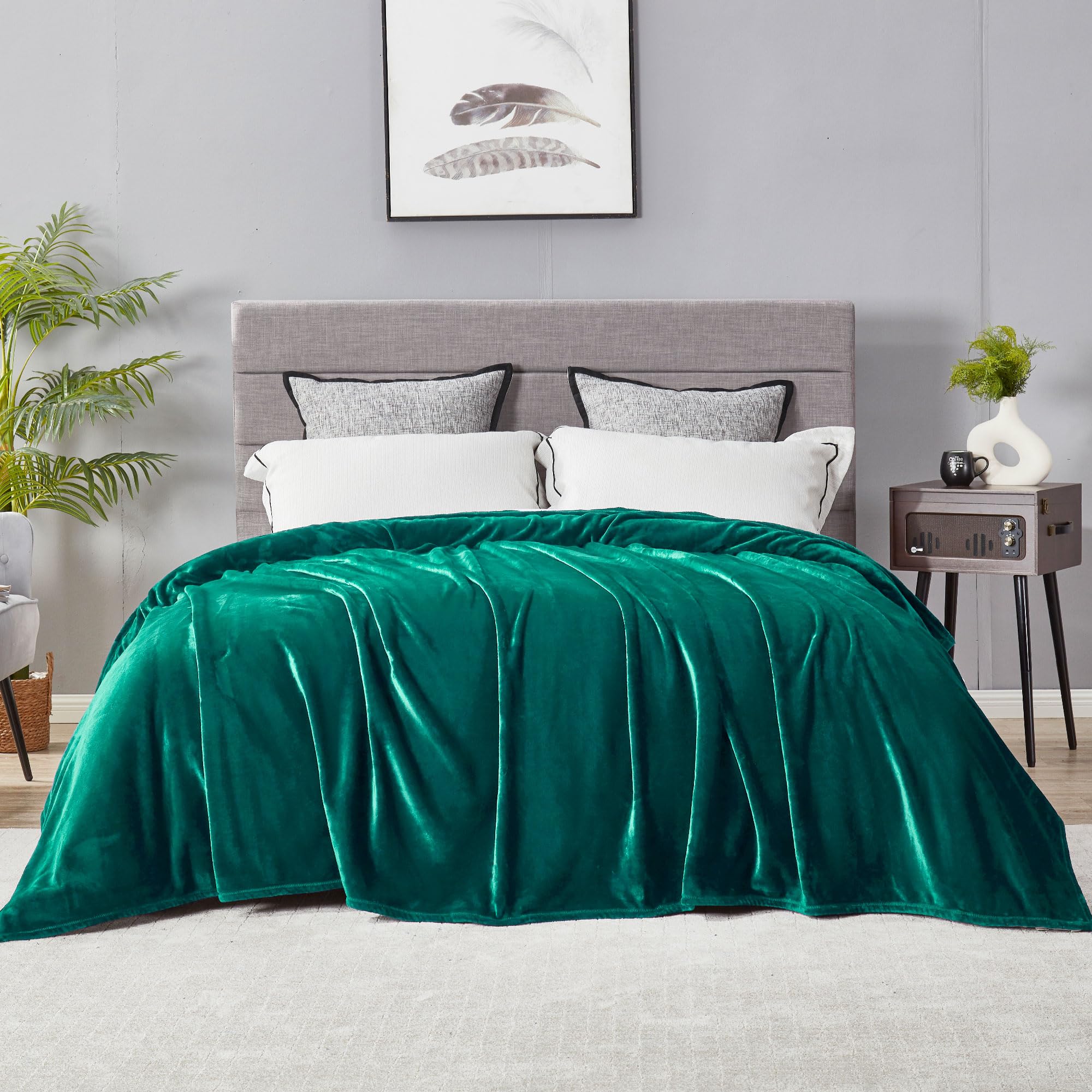 DREAMNINE Large Solid Plush Fuzzy Fleece King Size Blanket for Bed