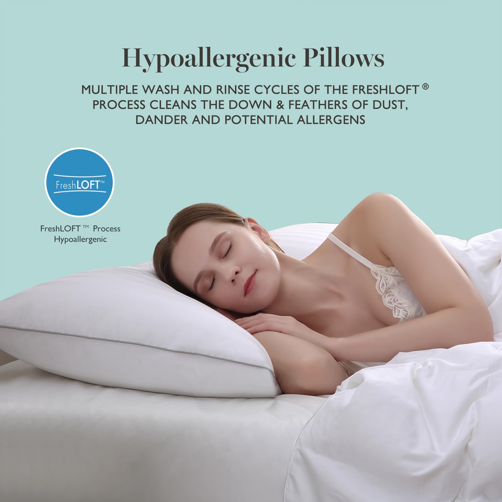 martha stewart collection from Kmart.com, image size:1600x1600