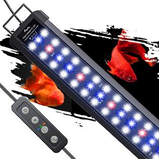 Pawfly 6 W zoutwater aquarium LED-lamp voor 3,8 tot 11,4 l bakken verlichting dimbare led-aquariumlamp mobiele USB-lamp voor zeeaquarium met timer (adapter niet inbegrepen Pawfly 6 W zoutwater aquarium LED-lamp voor 3,8 tot 11,4 l bakken verlichting dimbare led-aquariumlamp mobiele USB-lamp voor zeeaquarium met timer (adapter niet inbegrepen
