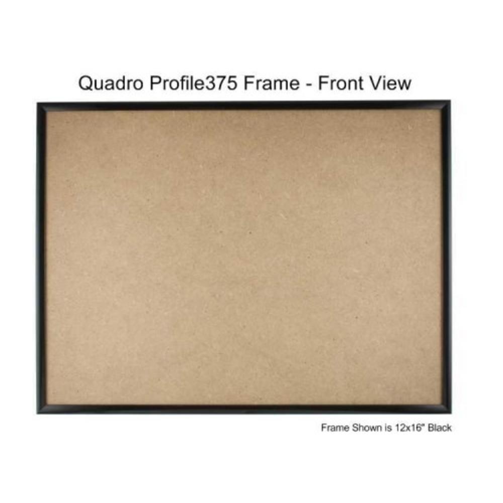 Quadro Frames Black 14x28 inch Picture Frame - Box of 1