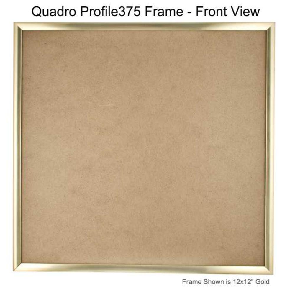 Quadro Frames Gold 16x16 inch Picture Frame - Box of 1
