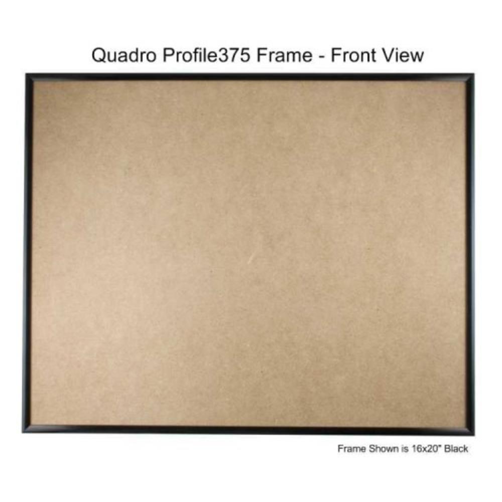 Quadro Frames Black 16x20 inch Picture Frame - Box of 1