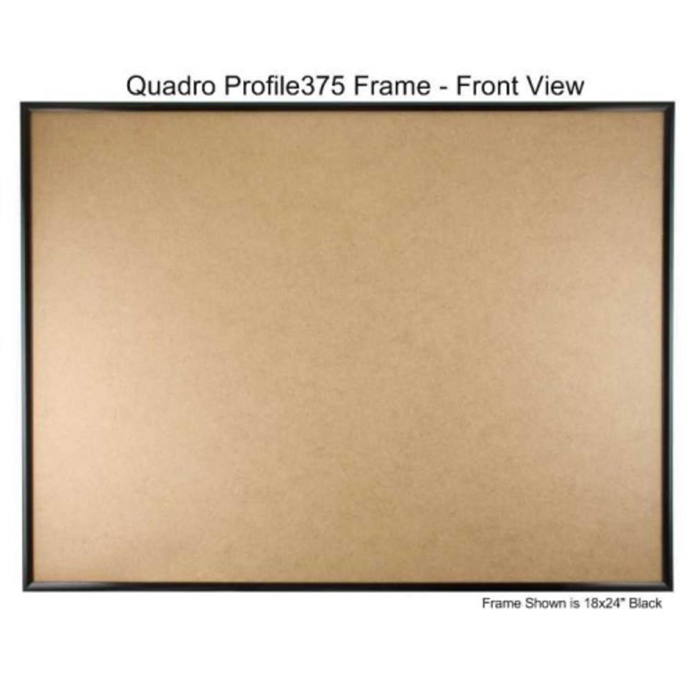 Quadro Frames Black 20x28 inch Picture Frame - Box of 1