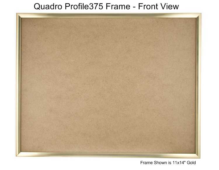 Quadro Frames Gold 20x30 inch Picture Frame - Box of 4