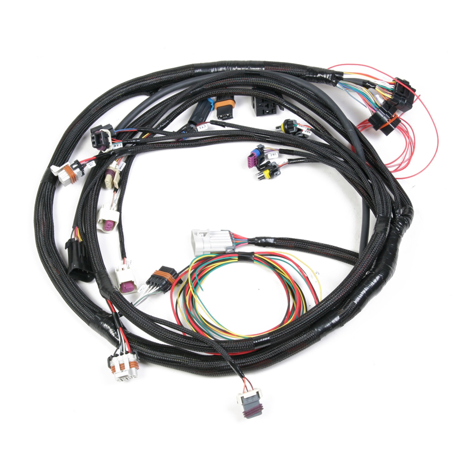 Holley Performance 558-103 Fuel Injection Wire Harness