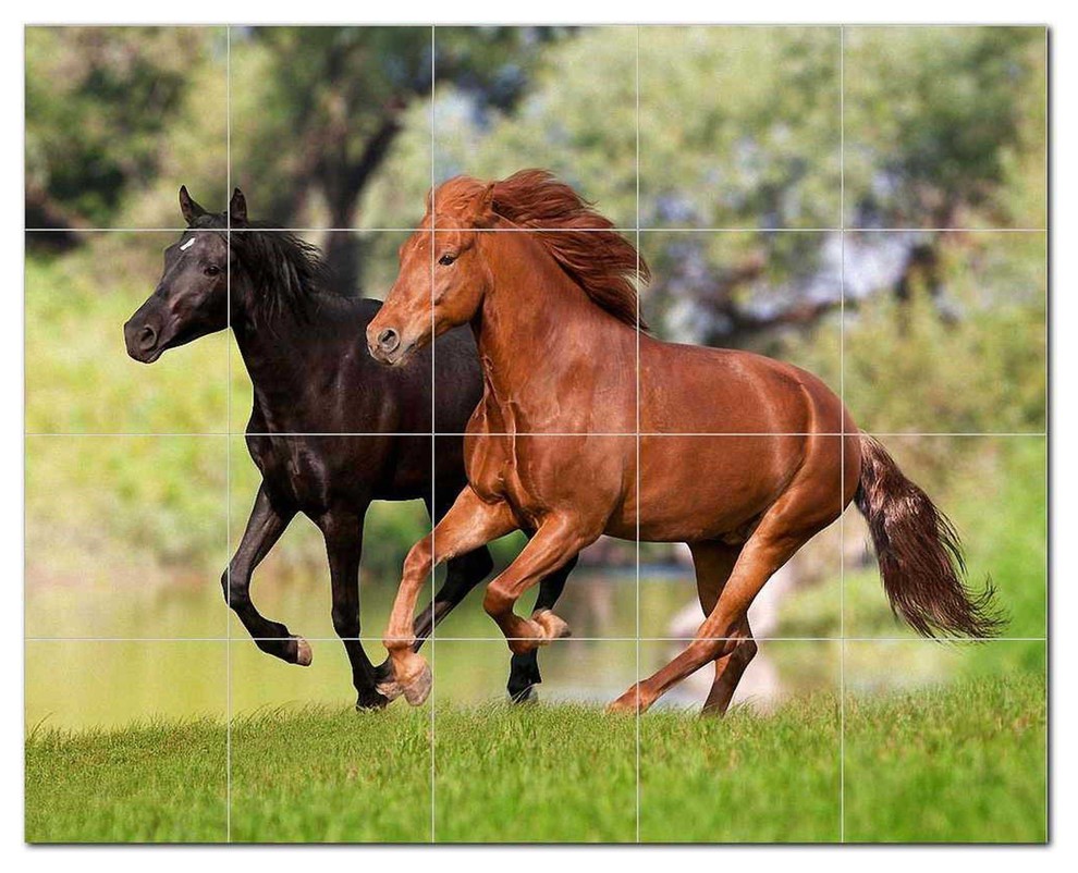 Picture Tiles Com Horse Picture Ceramic Tile Mural Kitchen Backsplash Bathroom Shower 405296
