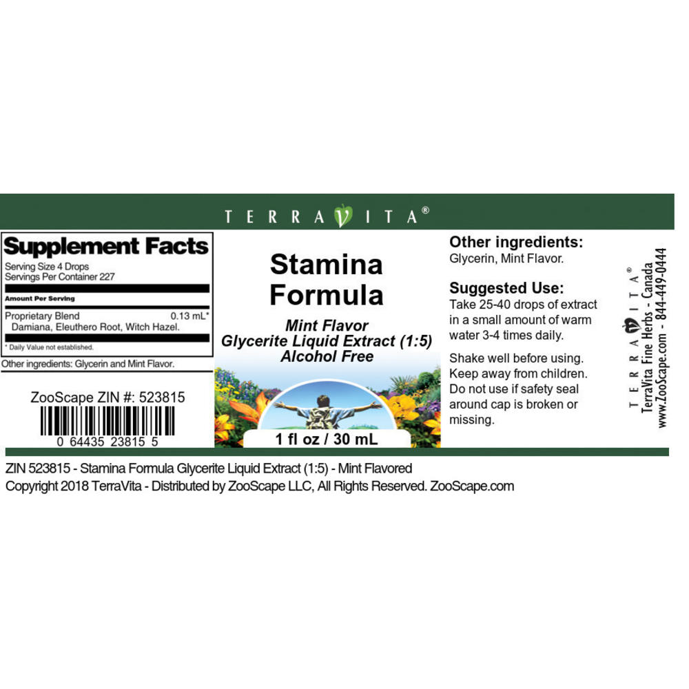 TerraVita Stamina Formula Glycerite Liquid Extract (1:5) - Mint Flavored (1 oz, ZIN: 523815)