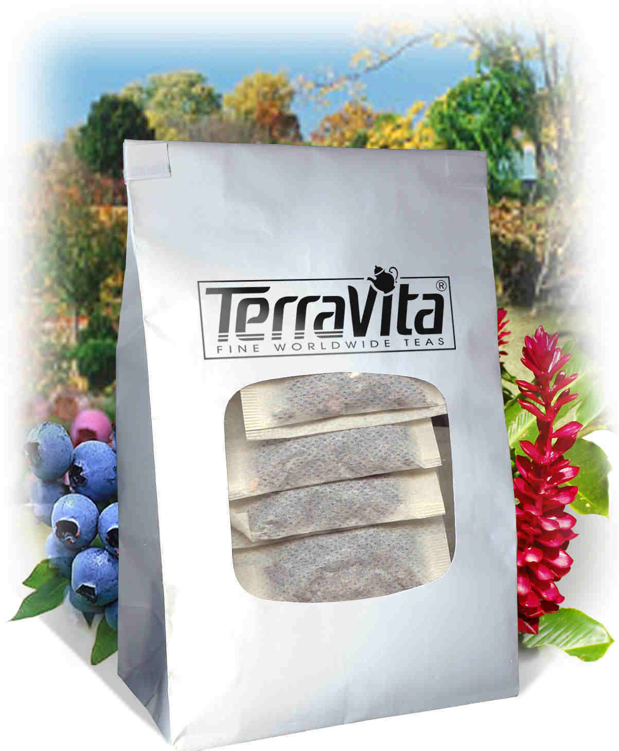 TerraVita Maple Green Tea (25 tea bags, ZIN: 510097)