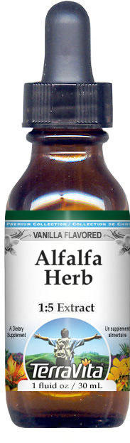 TerraVita Alfalfa Herb Glycerite Liquid Extract (1:5) - Vanilla Flavored (1 oz, ZIN: 522019)