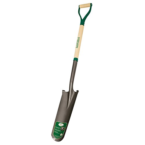 Mintcraft 33278 D-Handle Drain Spade with Wood Handle