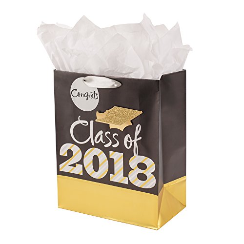 Hallmark Large Graduation Gift Bag With Tissue Paper and Gift Tag (Black and Gold Class of 2018)