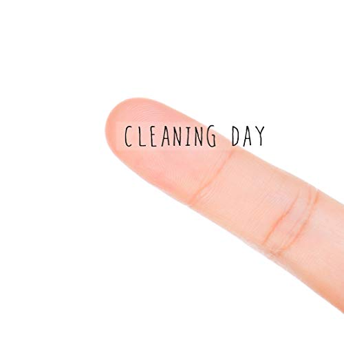 MAGJUCHE Cleaning day Monthly Planner Stickers, 120 Clear housework Labels Calendar Scrapbooking Crafting Stickers