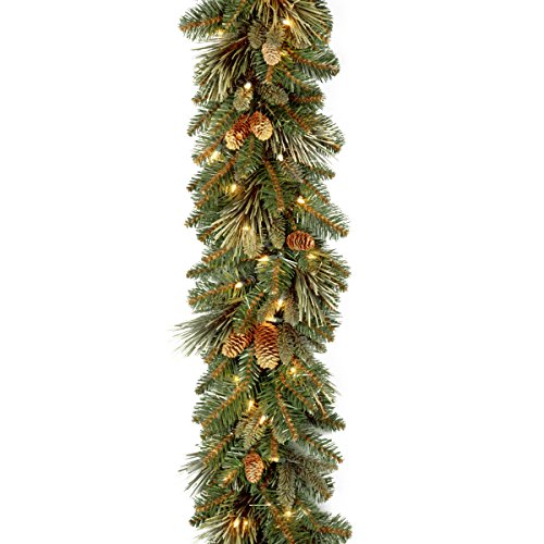National Tree Company National Tree 9 Foot by 10 Inch Carolina Pine Garland with 27 Flocked Cones and 100 Clear Lights (CAP3-306-9A-1)