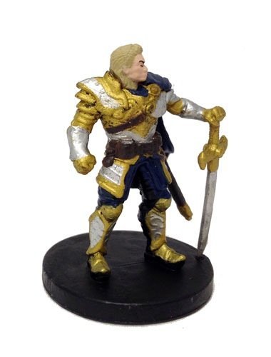 Wizards of the Coast D&D Tyranny of Dragons Single Figure Common Human Paladin #8