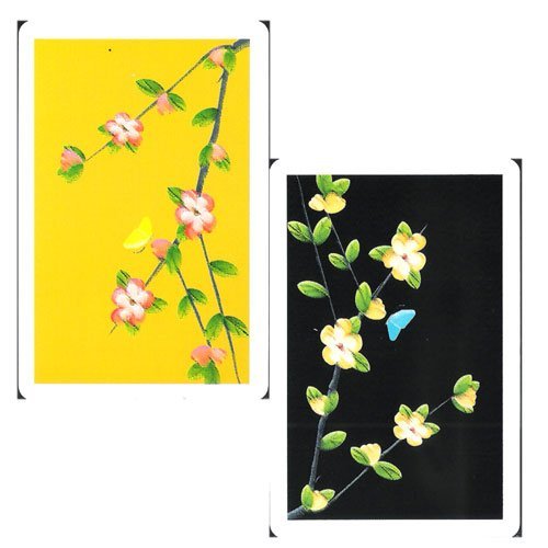 Marion Pro Butterfly 100% Plastic Cards - Jumbo Index - Bridge Size/Naipes para Bridge de Plastico