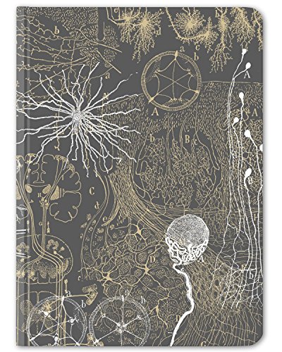 Cognitive Surplus Gray Neurons Notebook. (Large Size, Grid & Lined, 100% Recycled)