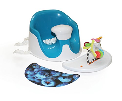 Prince Lionheart Prince Lion Heart BebePOD Chubs Plus Baby Sitter and Booster Seat, Berry Blue