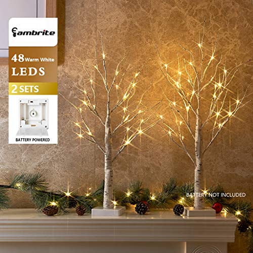 EAMBRITE Set of 2 2FT 24LT Warm White LED Birch Tree Light Tabletop Bonsai Tree Light Jewelry Holder Decor for Home Party