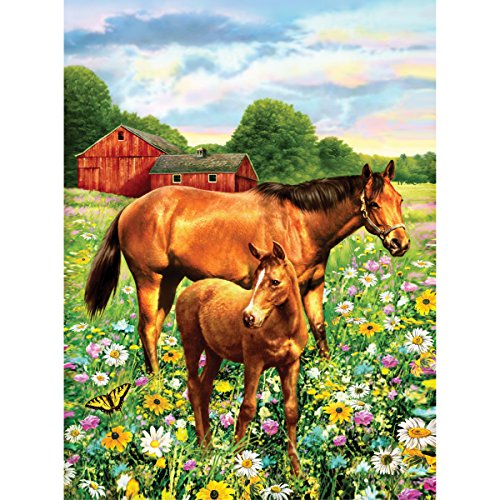 ROYAL BRUSH 8.75 by 11.75-Inch Junior Paint by Number Kit, Small, Horse in Field