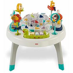 Fisher-Price Fisher Price 2 in 1 Sit to Stand Activity Center