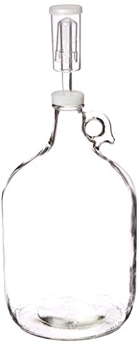 Fastrack Glass Wine Fermenter Includes Airlock, 1 gallon Capacity