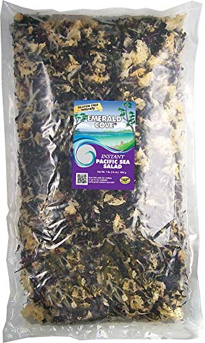 Emerald Cove Instant Pacific Sea Vegetable Salad, 16-Ounce Bag