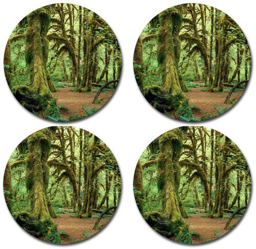 MYDply Scenic Forest Green Trees Rubber Round Coaster set (4 pack) Great Gift Idea