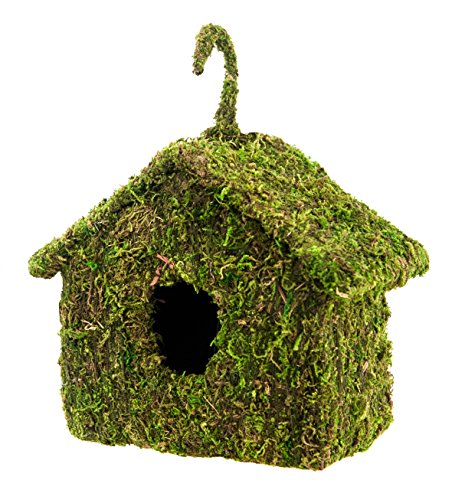 Super Moss SuperMoss (56036) Maison Birdhouse, 6 by 8-Inch, Fresh Green