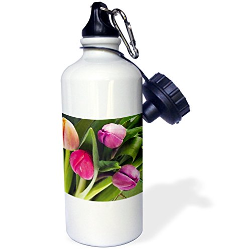 3dRose wb_20176_1"Tulips" Sports Water Bottle, 21 oz, White