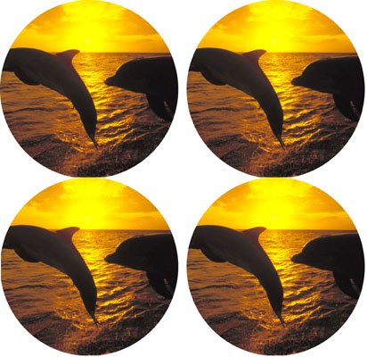 MYDply Dolphins Rubber Round Coaster set (4 pack) Great Gift Idea