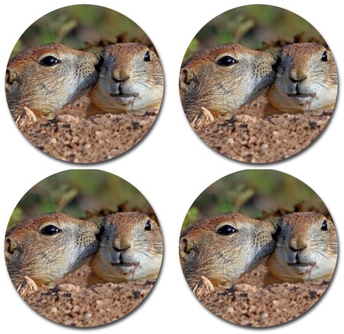 MYDply Prairie Dogs Rubber Round Coaster set (4 pack) Great Gift Idea