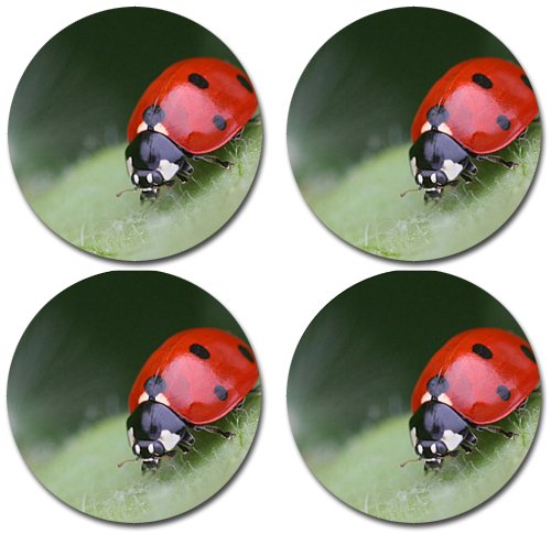 MYDply Ladybug Rubber Round Coaster set (4 pack) Great Gift Idea