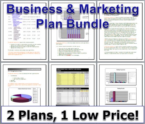 BizPlans4u Website Design Web Services SEO BUSINESS PLAN + MARKETING PLAN = 2 PLANS!