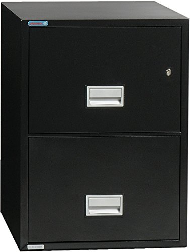 Phoenix Safe International Phoenix Vertical 31 inch 2-Drawer Letter Fireproof File Cabinet with Water Seal - Black