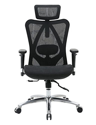 Sihoo Ergonomic Office Chair, Computer Chair Desk Chair High Back Chair Breathable, Skin-Friendly Mesh Chair Adjustable 3D