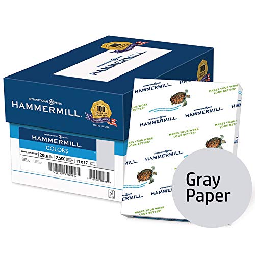  Hammermill Colored Paper, 20 lb Gray Printer Paper