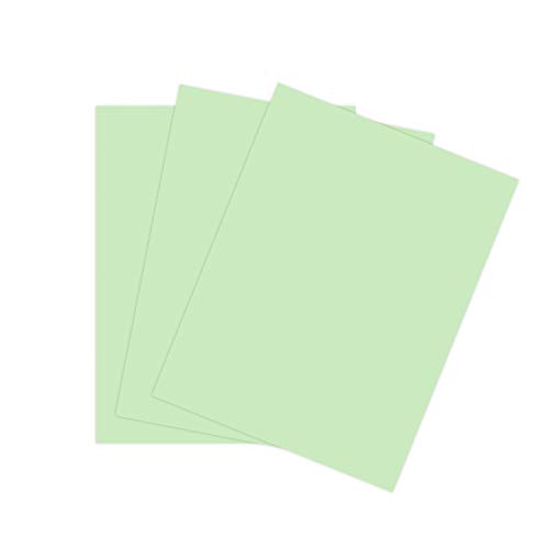 The Stamps of Life Cardstock Paper for Arts Crafts and Scrapbooking by The Stamps of Life - Mint Chip Green 8.5" x 11" 24 Sheets
