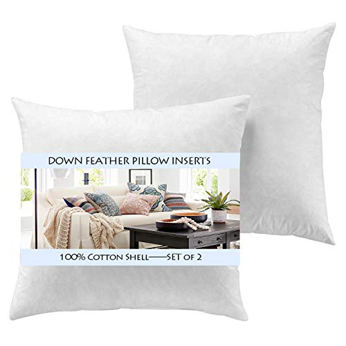 Yesterday Home Set of 2-18x18 Throw Pillow Inserts-Down Feather Pillow Inserts-White