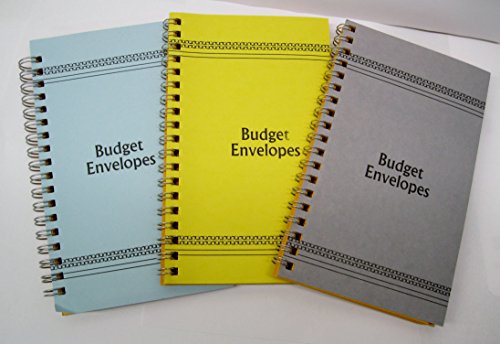 &nbsp; Vintage Style Budget Envelopes Set of 3 Assorted Colors
