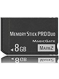 GYWY 8GB PRO Duo (Mark 2) Memory Stick PSP Accessories/Camera Memory Card â€¦