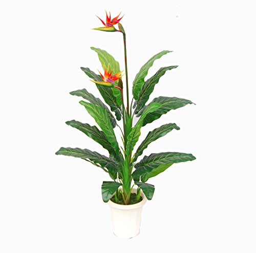 AMERIQUE Unique And Gorgeous Large 5' Paradise Bird Flower Artificial Plant Real Touch Technology, with Nursery Plastic Pot,