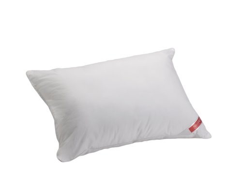 Aller-Ease 122-HH Pillow, Queen, White